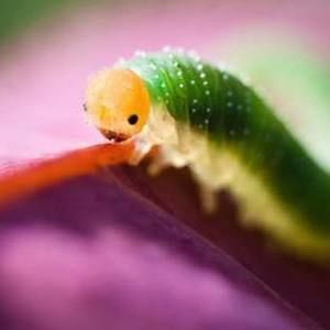 Meet your Posher, Sam